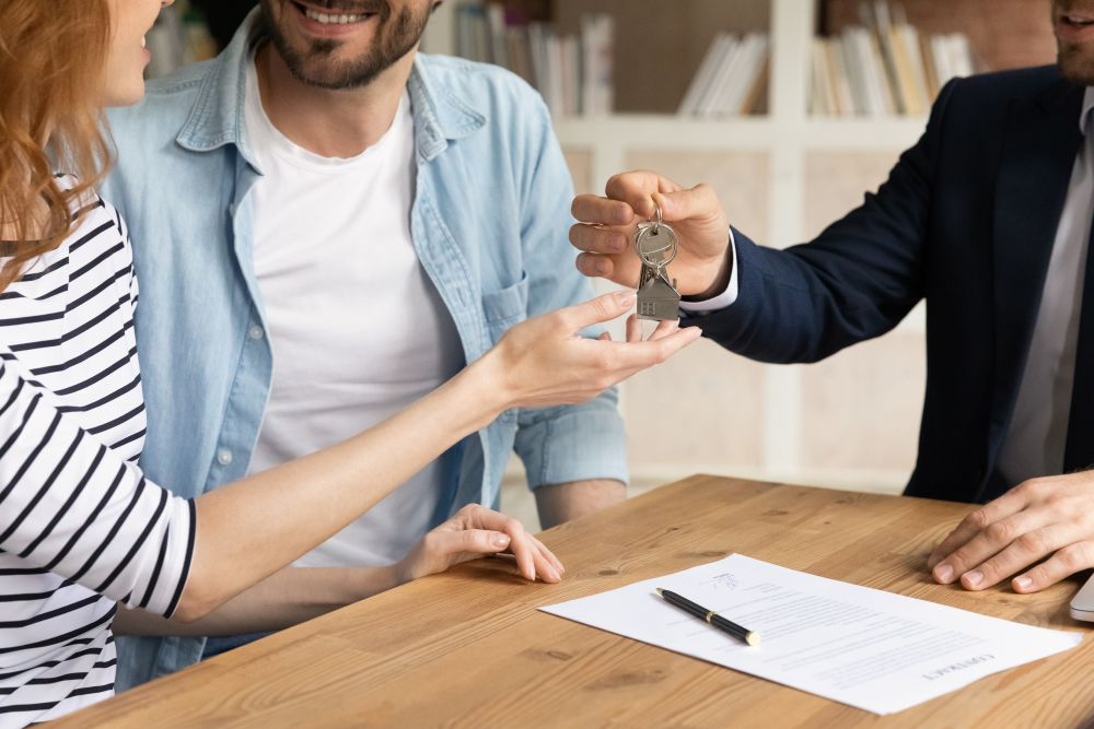 Portaluri și agenții imobiliare